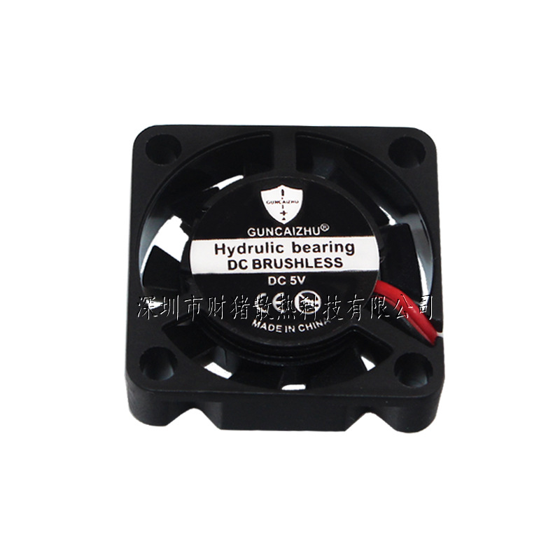 Nuovo DC 5V 0.11A 2507 25x25x0 - Raspberry Pi Water Cooling Kit recensione e prezzo